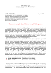 “Tre motori sono meglio di uno”. I sistemi