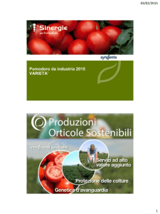 Pomodoro da industria 2014