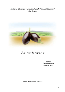 tesina melanzana tardio