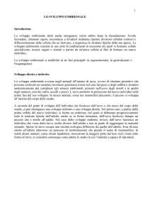 sviluppo embrionale