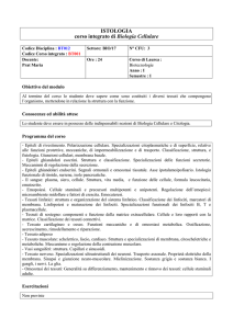 ISTOLOGIA corso integrato di Biologia Cellulare
