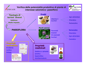 Verifica delle potenzialità produttive di piante di interesse