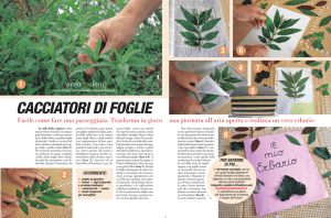 CACCIATORI DI FOGLIE