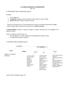 sistema circolatorio