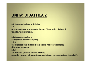 unita` didattica 2 - Progetto e