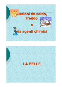 Lesioni da caldo, freddo e da agenti chimici LA PELLE