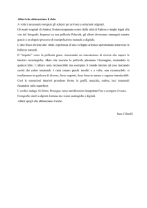 Alberi che abbracciano il cielo A volte è necessario rompere gli