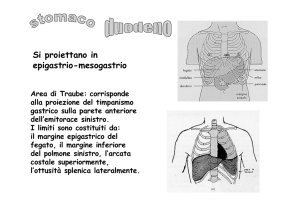 Stomaco e Duodeno - Medicina Cultura