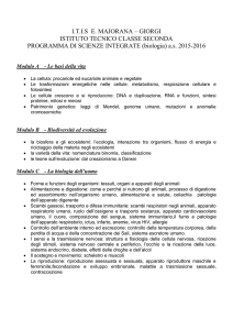 I.T.I.S E. MAJORANA – GIORGI ISTITUTO TECNICO CLASSE