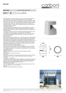 caribonigroup 06py2102a