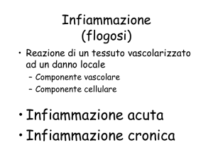 •Infiammazione acuta •Infiammazione cronica