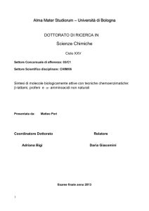 - AMS Dottorato