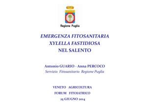 Xylella fastidiosa - Veneto Agricoltura