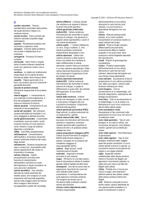 GLOSSARIO - Ateneonline