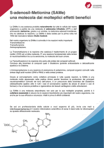 S-adenosil-Metionina (SAMe) una molecola dai