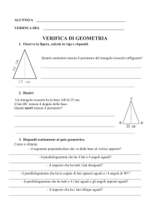 Verifica di Geometria: Triangoli, Trapezi, Parallelogrammi