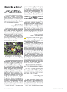 Melo: fioritura fuori stagione a causa della siccità