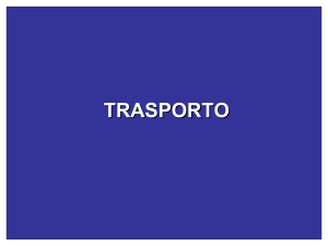 Trasporto