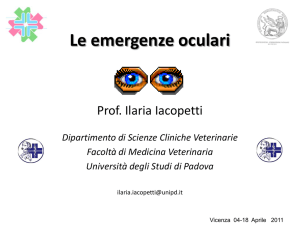 Intervento Prof.ssa I. Iacopetti