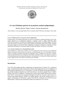 Scarica questo file PDF