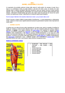 Gambe, Addominali e Glutei