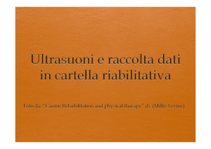 tba 8 Ultrasuoni File - Progetto e