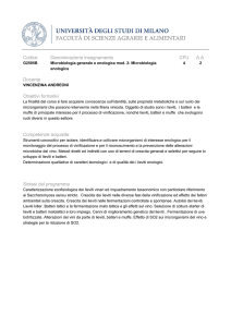 Codice Denominazione insegnamento CFU AA
