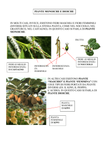 Il fiore-1 - Istituto Comprensivo Lari
