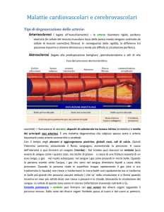 Malattie cardiovascolari e cerebrovascolari