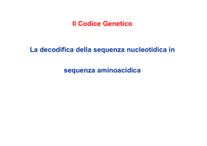 Il Codice Genetico La decodifica della sequenza nucleotidica in