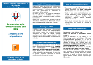 Immunoterapia endovescicale con BCG - Urologia