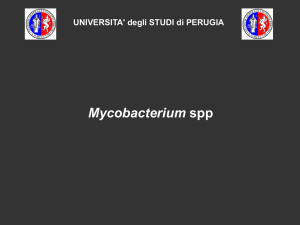 Diapositiva 1 - WordPress.com