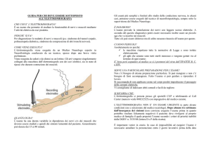 GUIDA PER CHI DEVE ESSERE SOTTOPOSTO ALL