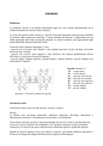 STRABISMO Definizione Lo strabismo consiste in un