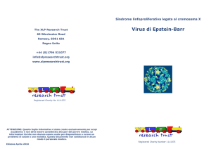 Virus di Epstein-Barr