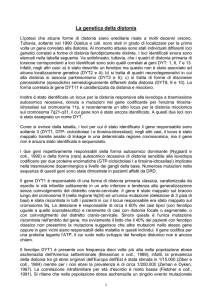 Distonia - Cammina con Stefy