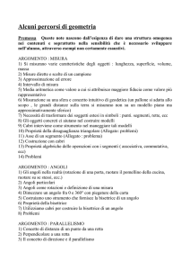 Proposte di percorsi per la geometria