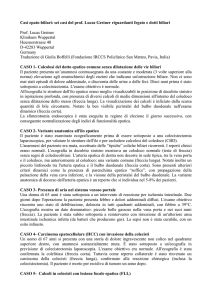 Casi epato-biliari: sei casi del prof. Lucas Greiner