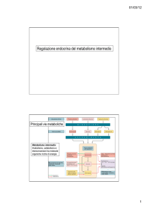 12_Metabolismo del glucosio