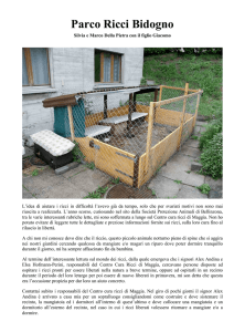 Parco Ricci Bidogno - Ricci in difficoltà