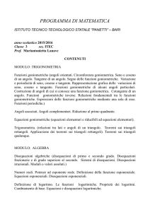 programma di matematica - Panetti