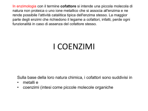 i coenzimi