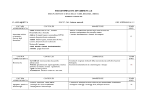 Quinta - Liceo Grigoletti