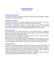 Traumi Muscolari