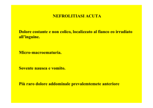 NEFROLITIASI CRONICA O RICORRENTE Trattamento.