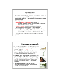 5 Biologia Vegetale 2010 studenti