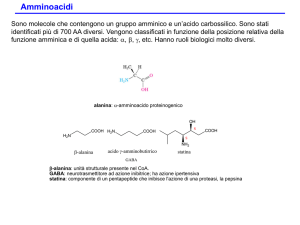 Amminoacidi File