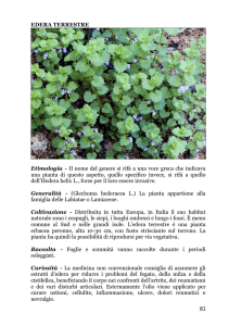 leggi un estratto