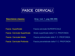 Slides - varie 1