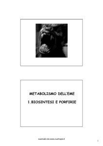 EME – Biosintesi e porfirie